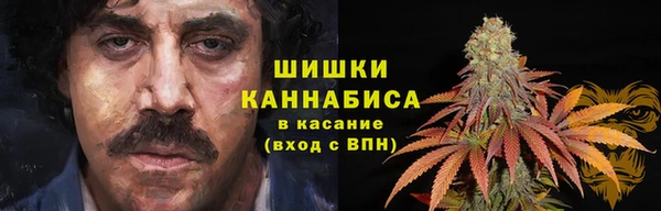 дурь Алзамай