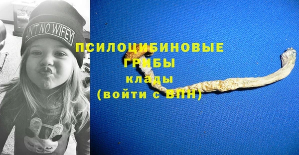 дурь Алзамай