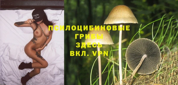 PSILOCYBIN Алексин