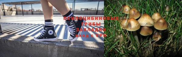PSILOCYBIN Алексин