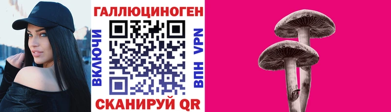 Галлюциногенные грибы Psilocybine cubensis  продажа наркотиков  Динская 